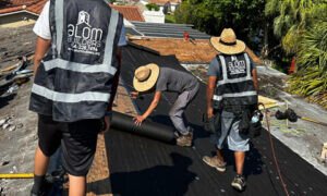 Skilled roofers working on a roof for Alom Builders roofing company.